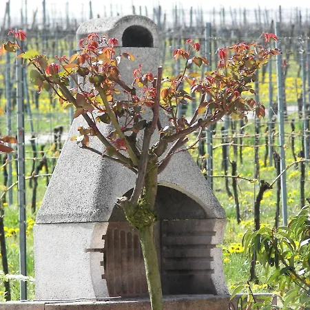 Apartamento Haus Sacherer By Interhome